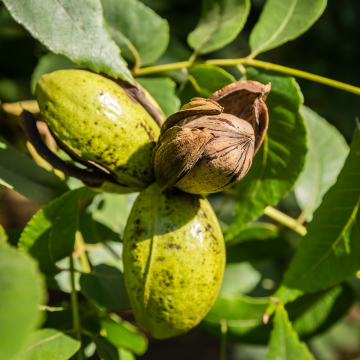 Ontwerp zonder titel 4